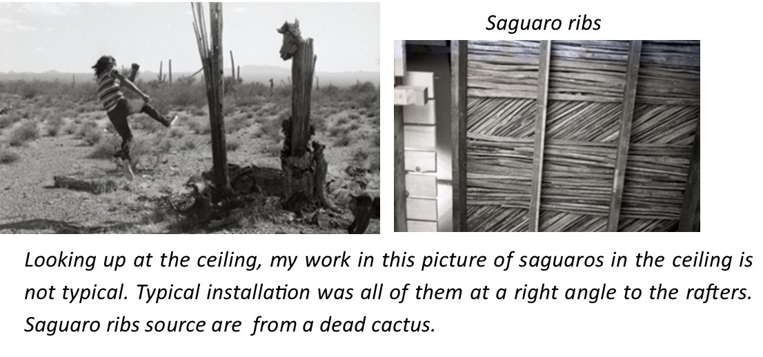 A collage of a saguaro cactus

Description automatically generated