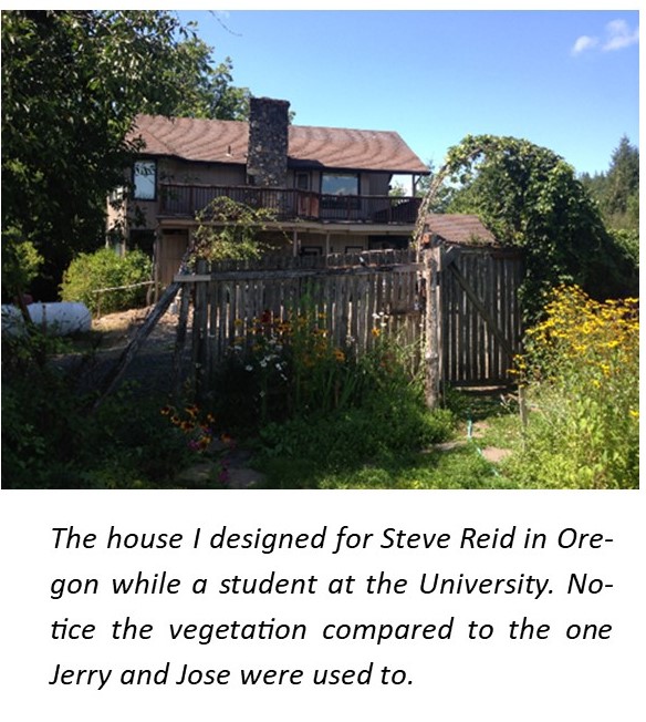 A house with a fence and plants

Description automatically generated