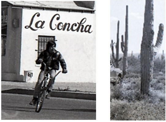 A person riding a bicycle

Description automatically generated