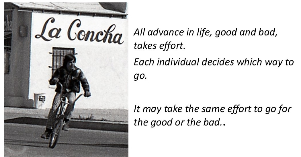 A person riding a bicycle

Description automatically generated