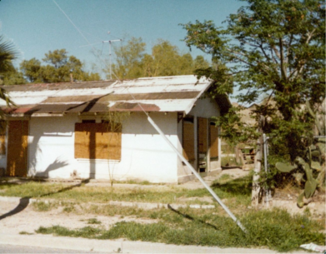 A picture containing grass, outdoor, tree, house

Description automatically generated