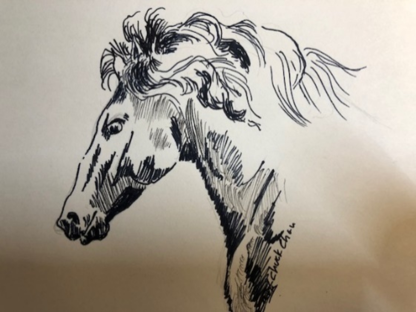 A drawing of a horse

Description automatically generated with low confidence